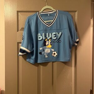 Women’s bluey top